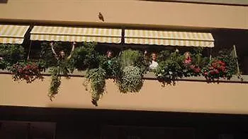 Elisart Hotel Alghero