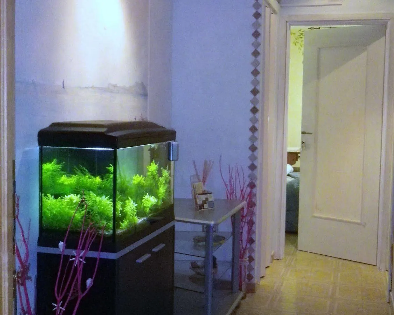 Guest house Elisart Hotel Alghero